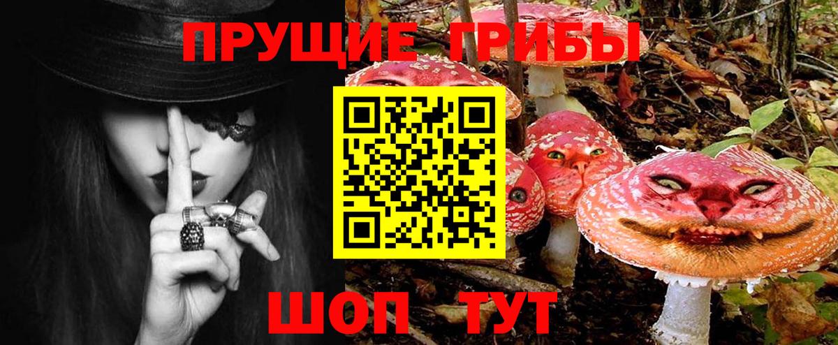 Псилоцибиновые грибы MAGIC MUSHROOMS Химки