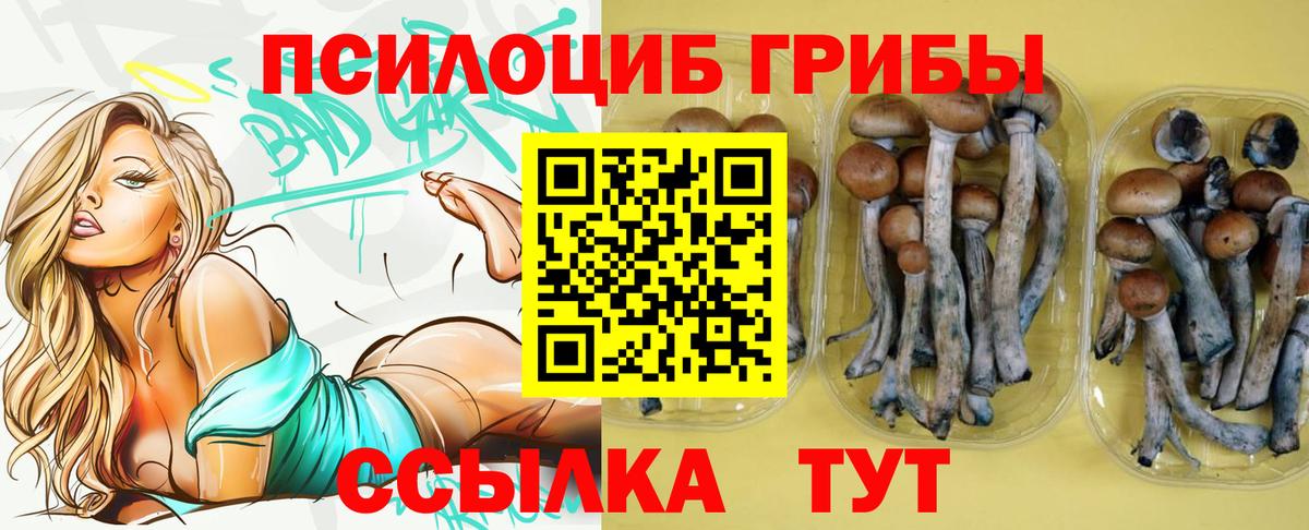 Химки  Галлюциногенные грибы GOLDEN TEACHER  Галлюциногенные грибы ЛСД  Вход с VPN 